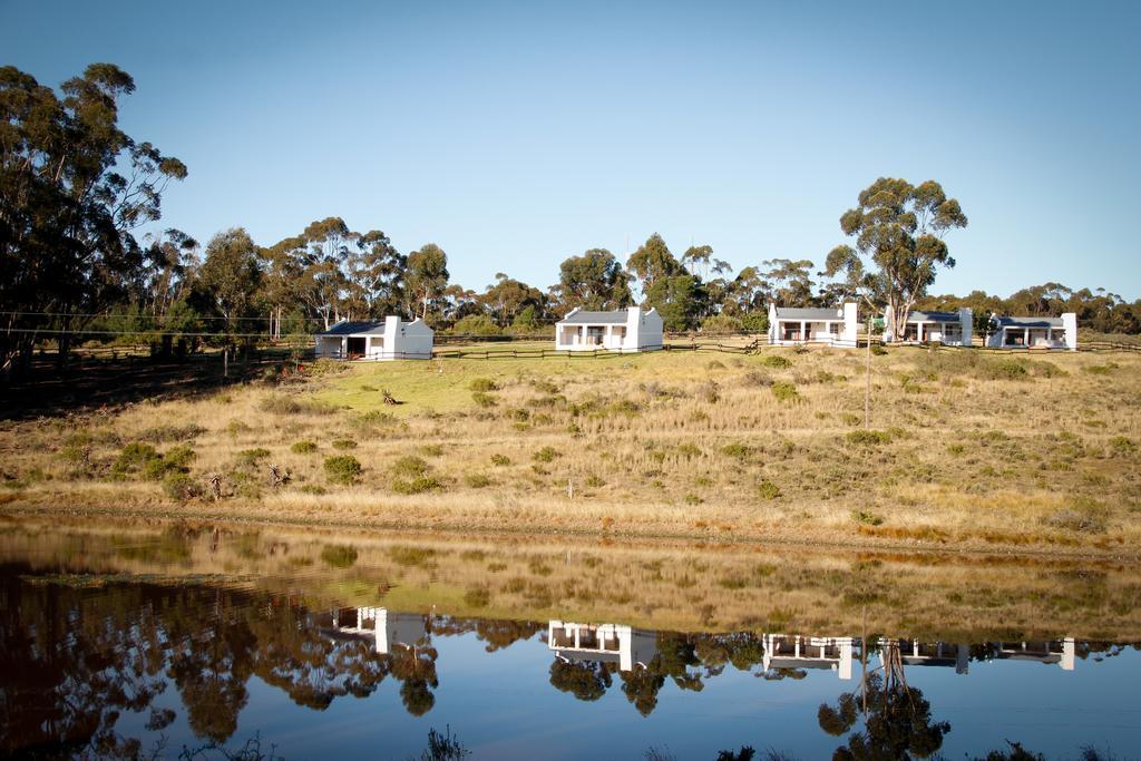 Kweekkraal Guest Farm Villa Riversdale Eksteriør billede